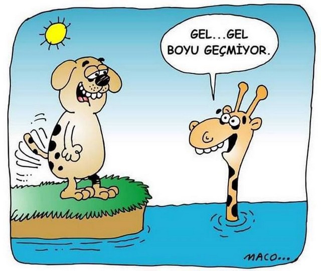 Karikatur014704