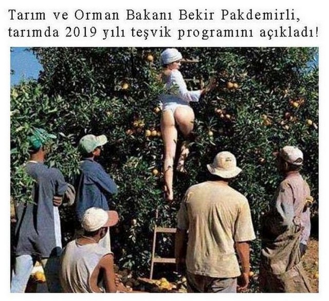 Karikatur014949