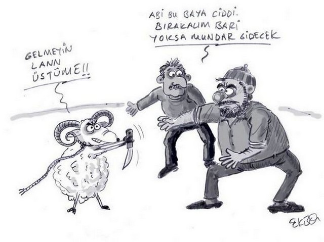 Karikatur015112