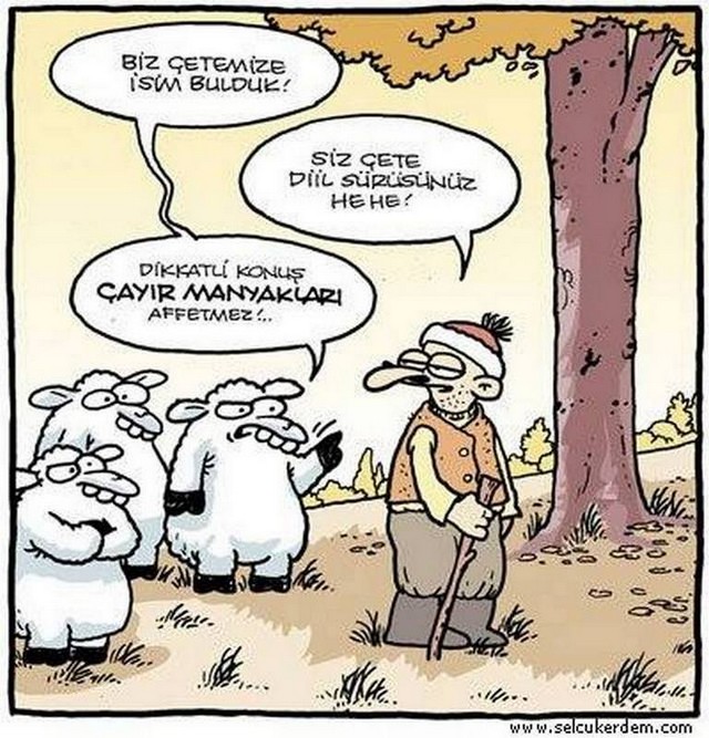 Karikatur015761