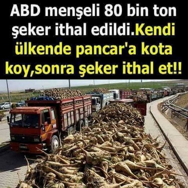 Karikatur015923