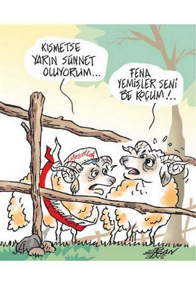 Karikatur016208