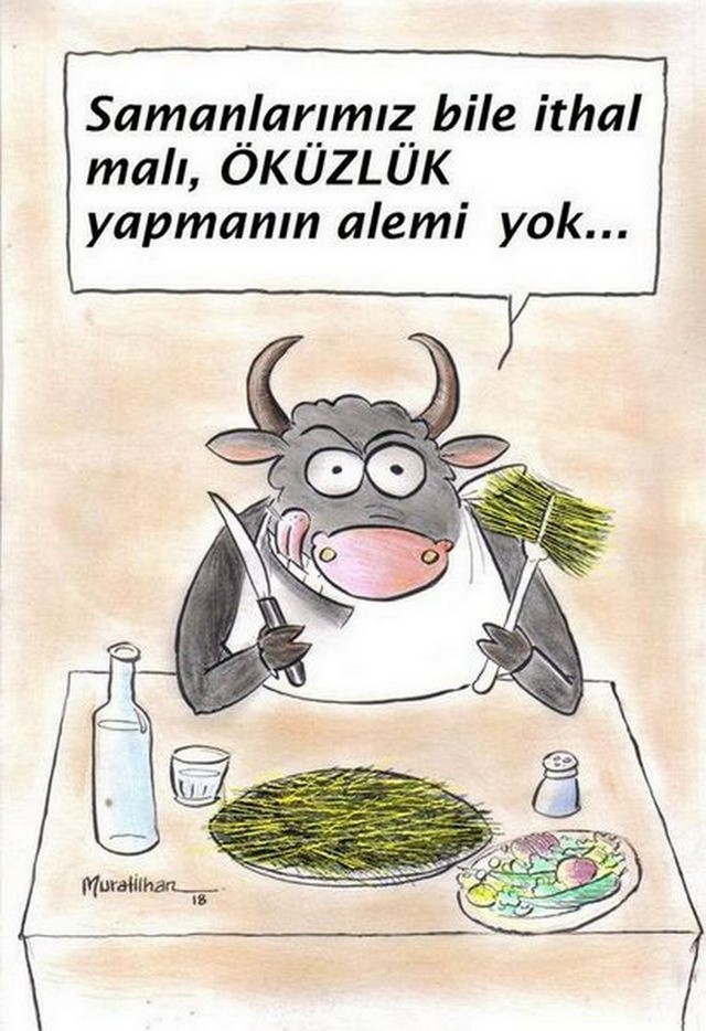 Karikatur016264