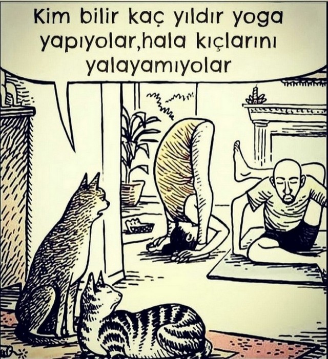Karikatur016285