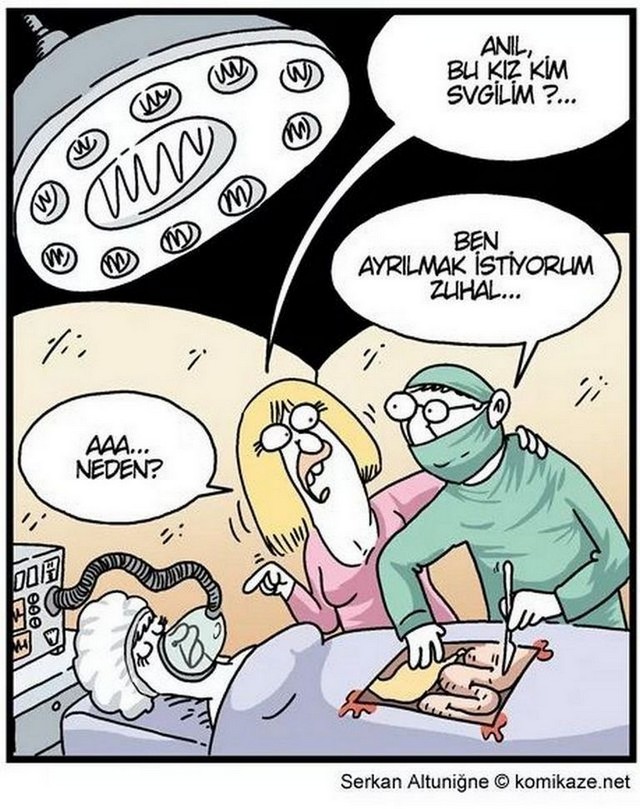 Karikatur016299