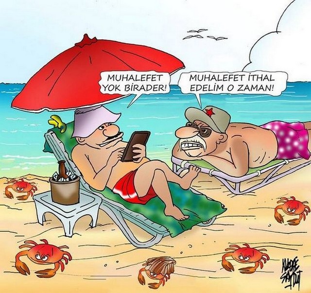 Karikatur016813