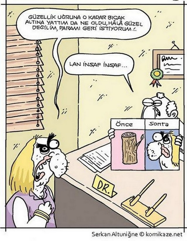 Karikatur017012