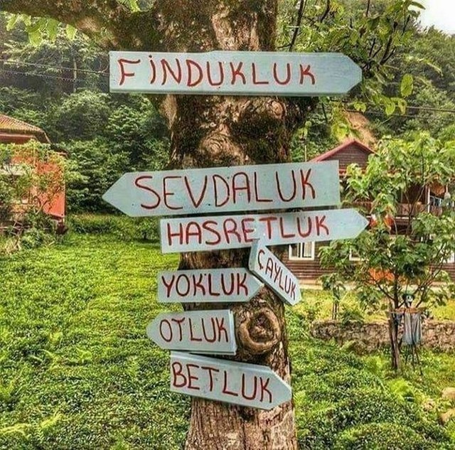 Karikatur017119