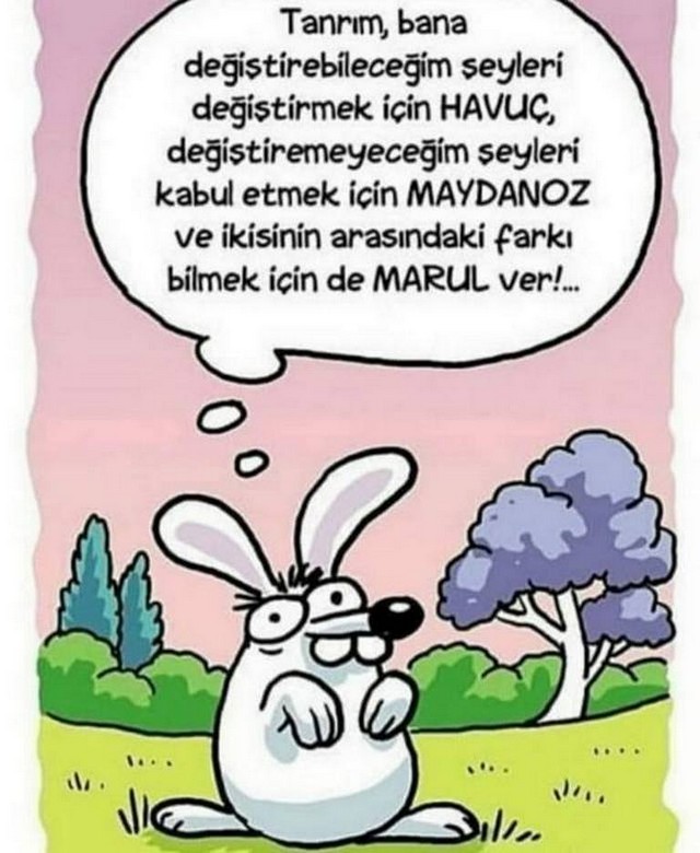 Karikatur017405