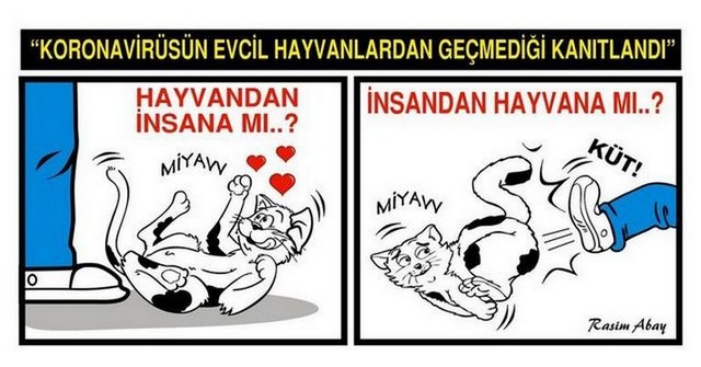 Karikatur017556