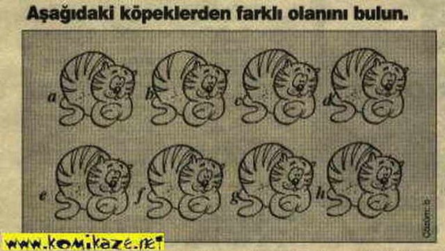 Karikatur017665