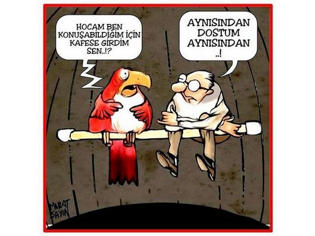 Karikatur017668