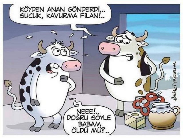 Karikatur018061