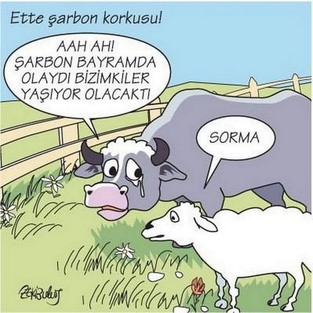 Karikatur018214