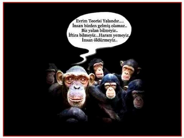 Karikatur018278