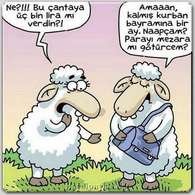 Karikatur018308