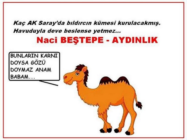 Karikatur018857