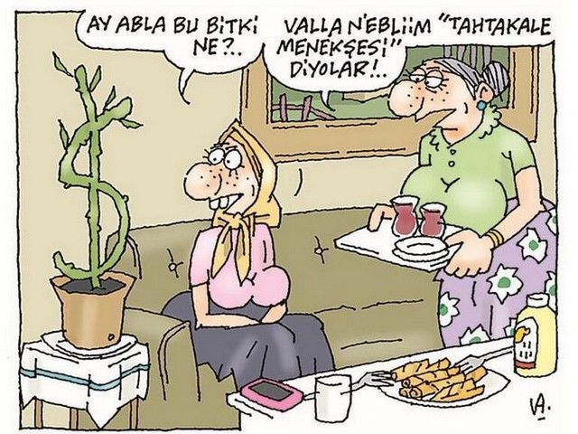 Karikatur018905