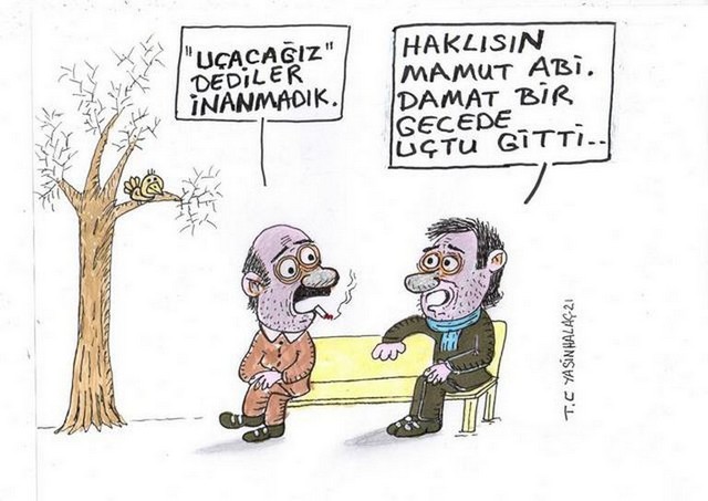 Karikatur018951