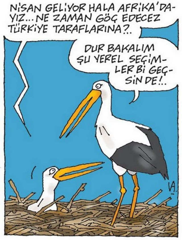 Karikatur019140