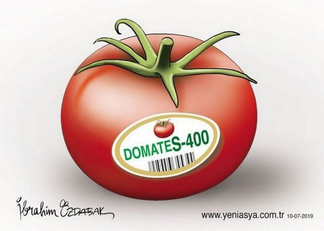 Karikatur019689