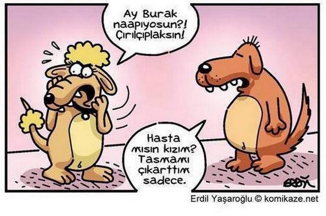 Karikatur020049