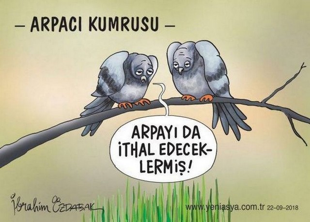 Karikatur020527