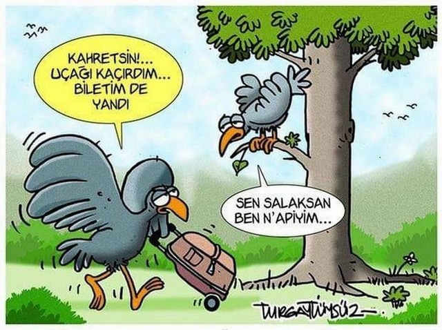 Karikatur020939
