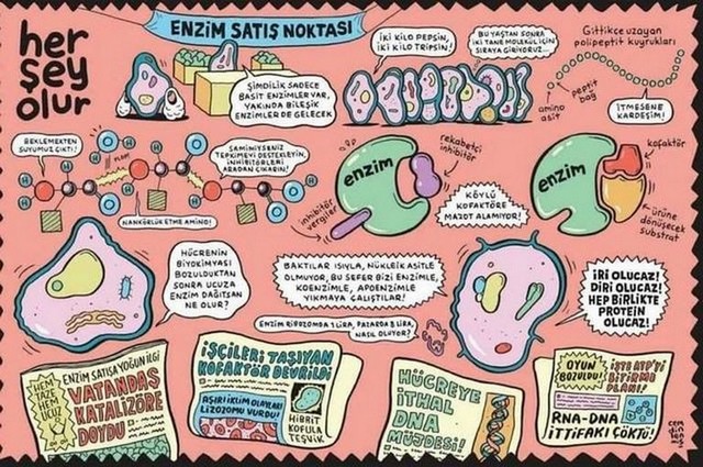 Karikatur021110