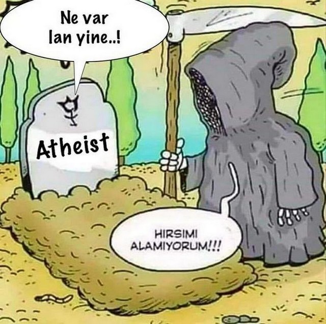 Karikatur021125