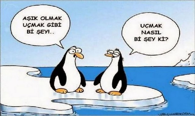 Karikatur021320