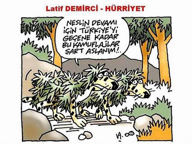 Karikatur021529