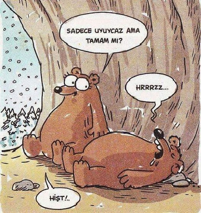 Karikatur021777