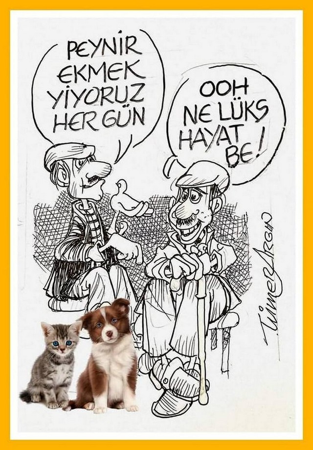 Karikatur022248