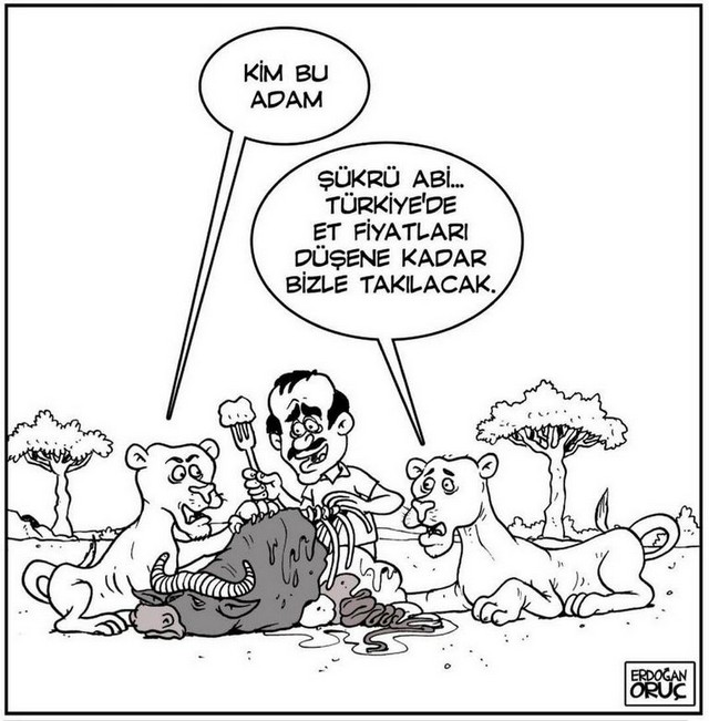 Karikatur022397