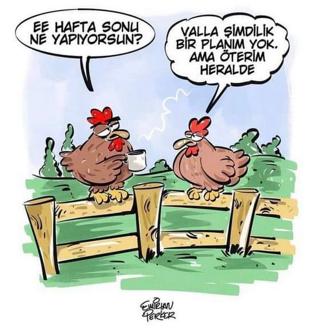 Karikatur022580