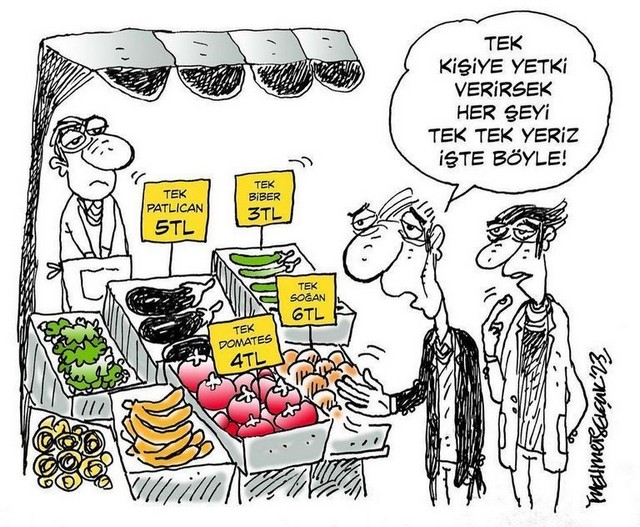 Karikatur022810