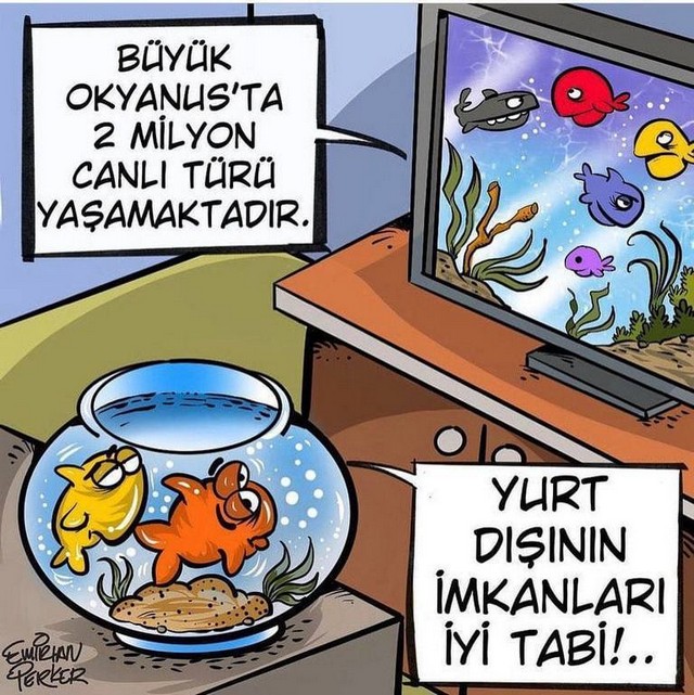 Karikatur022904