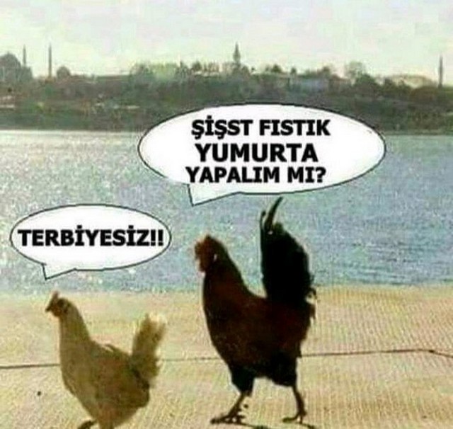 Karikatur023370