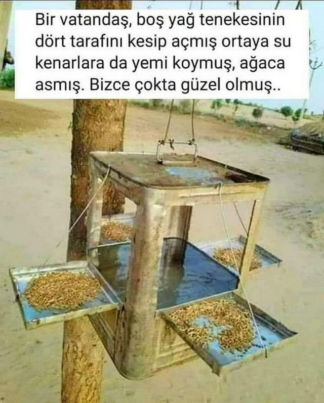 Karikatur023649