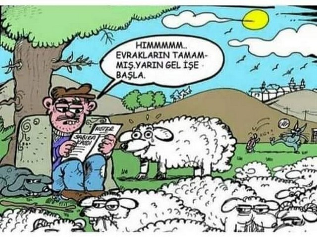 Karikatur023706
