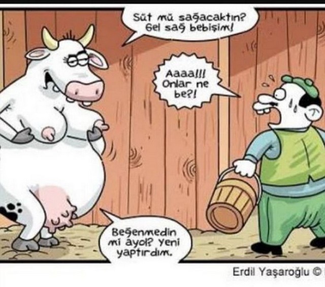Karikatur023908