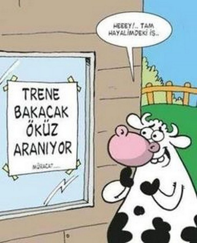 Karikatur024020