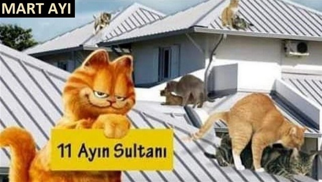 Karikatur024490