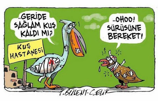 Karikatur024741