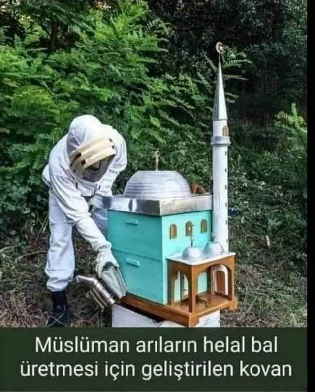 Karikatur025446