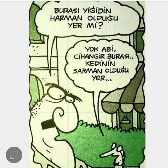 Karikatur025472