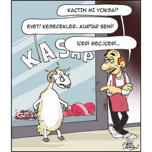 Karikatur025487