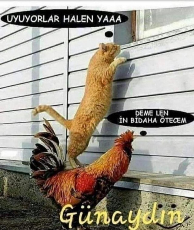 Karikatur025589