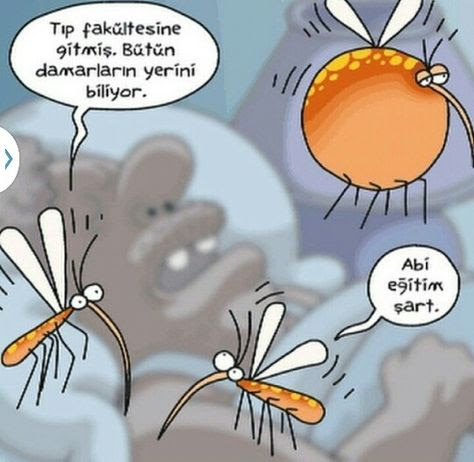 Karikatur025704
